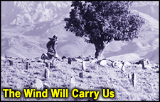 The Wind